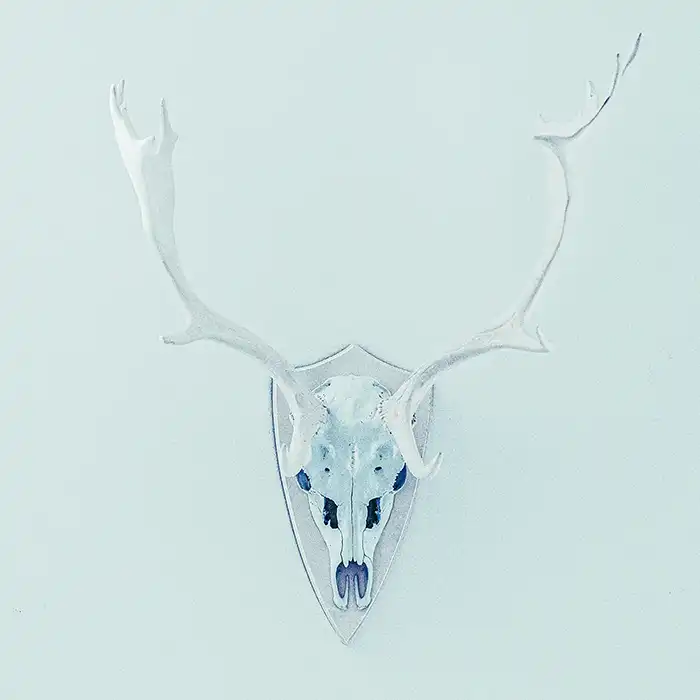 Image hover effect image