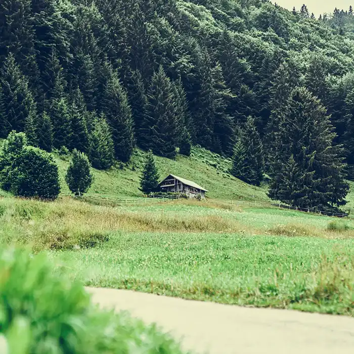 Image hover effect image
